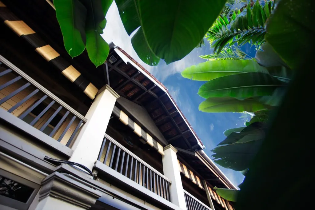 5 muntri mews